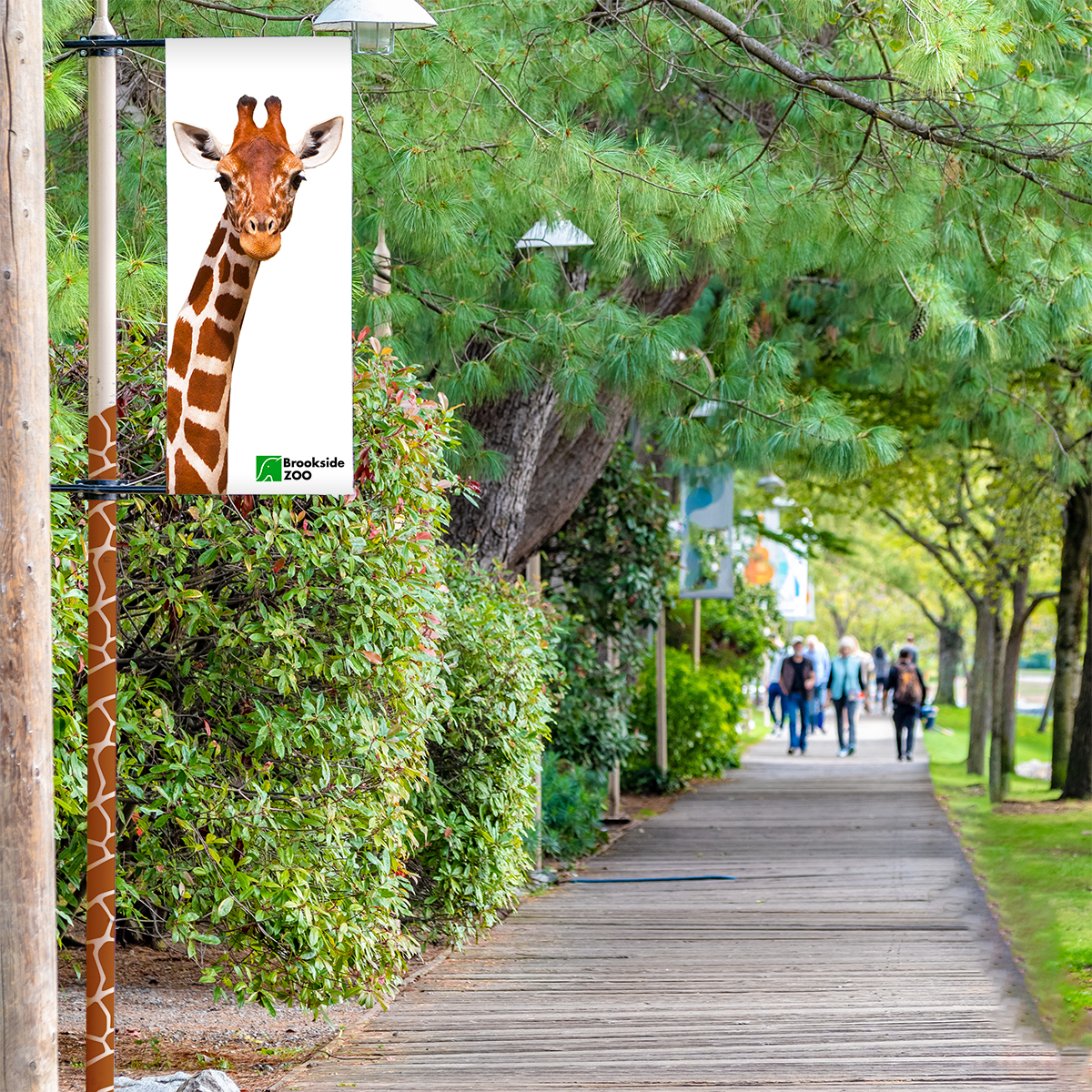 Brookside Zoo Sign